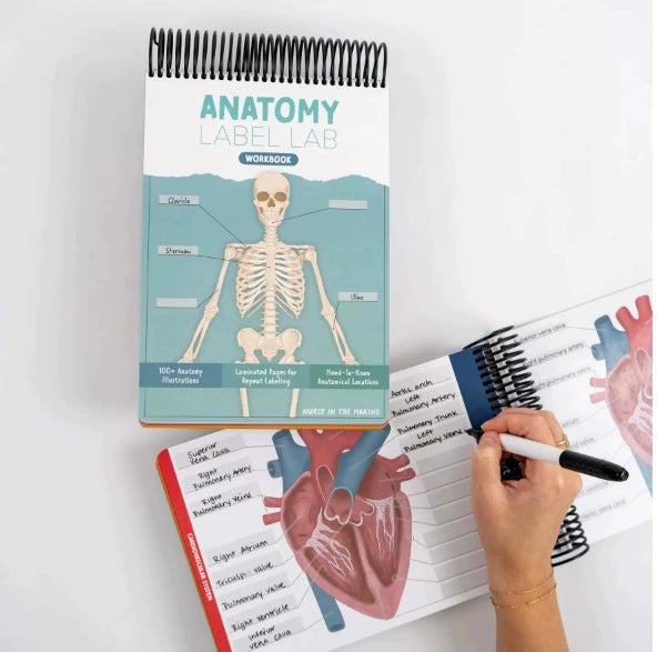 πβ¨ 50% OFF Reusable Anatomy Study Workbook π§ 100+ Illustrations for Active Recall