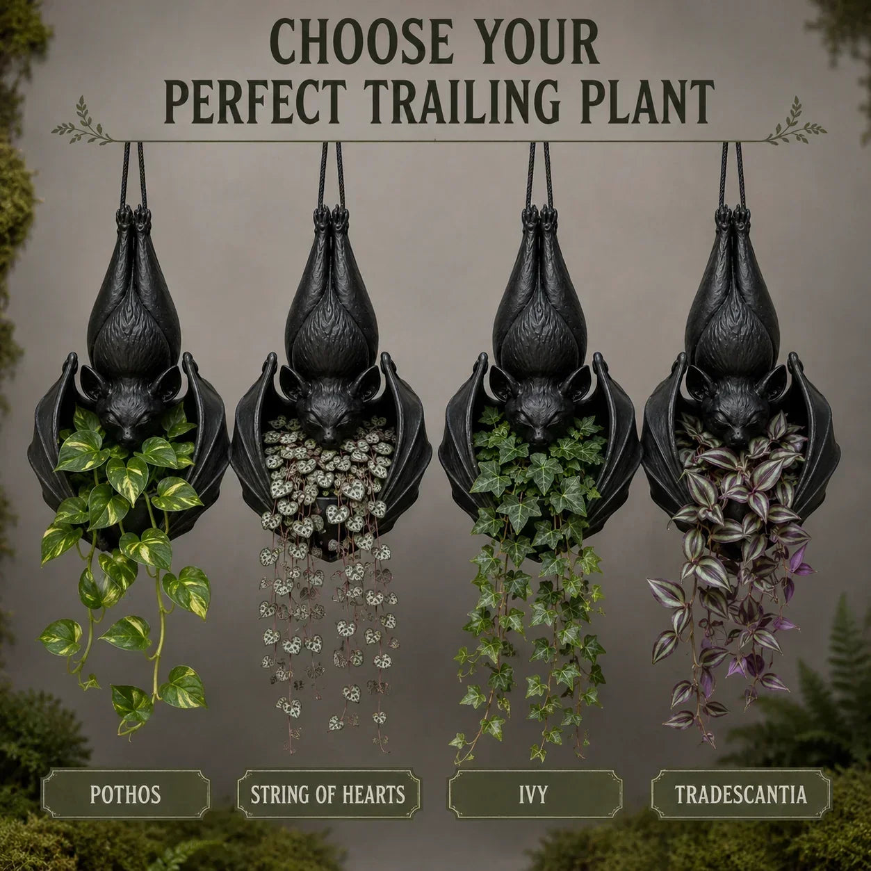 🦇 50% OFF Today 🌿 Gothic Hanging Bat Planter