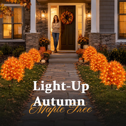 🍂Light-Up Autumn Maple Tree – LED Fall Tree Ornament（2pcs）