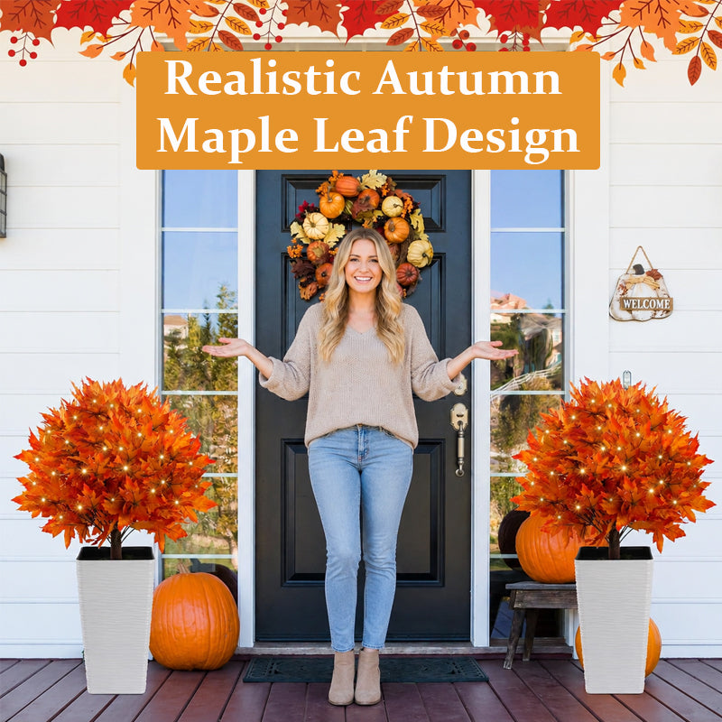 🍂Light-Up Autumn Maple Tree – LED Fall Tree Ornament（2pcs）