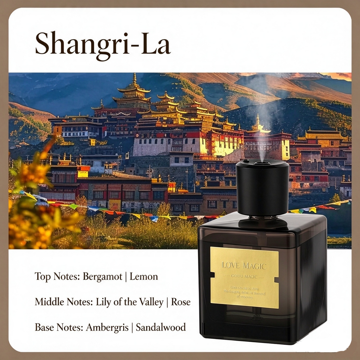 🌹 EBONY ROSE 500mL Aroma Diffuser ✨ 4-Mode Fine Mist Home Fragrance
