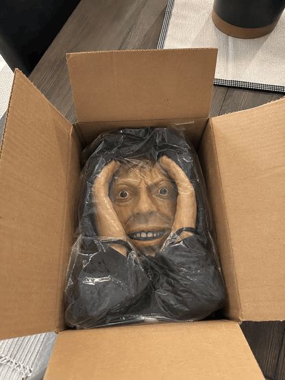 👀 “Stranger” Peeper – Creepy Halloween Window & Doorway Prank Decoration 🎃