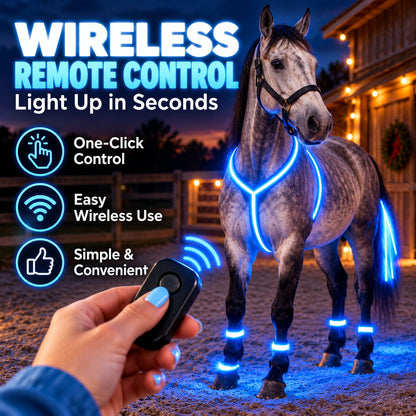 NightGlow™ LED Horse Gear Set – Light-Up Chest Harness, 4 Leg Bands & Tail Strand