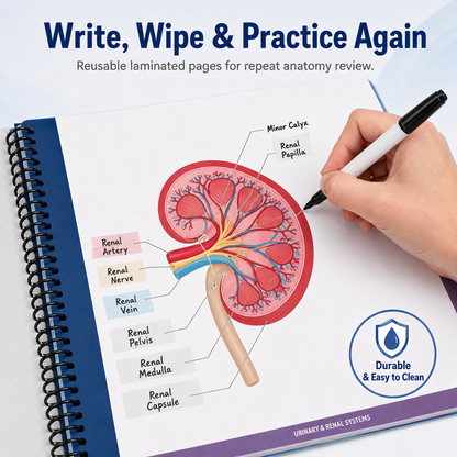 📚✨ 50% OFF Reusable Anatomy Study Workbook 🧠 100+ Illustrations for Active Recall