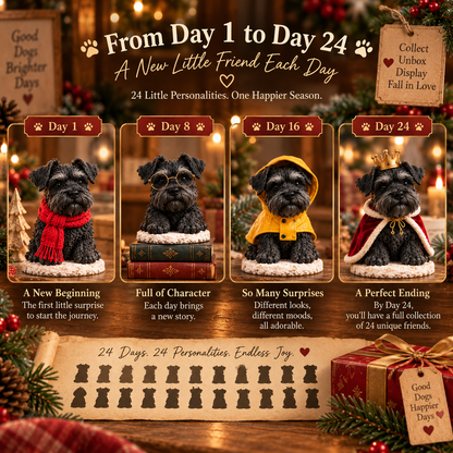 🐾 24 Days of Black Miniature Schnauzers — 24 Little Personalities