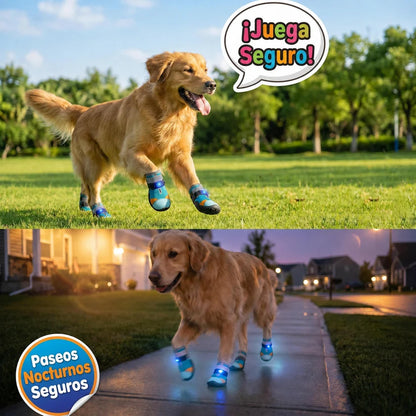 LED Light-Up Dog Boots