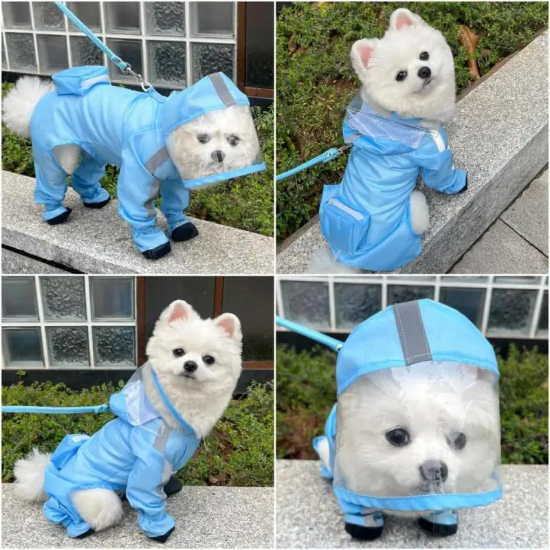 🐶Waterproof 4-Leg Dog Raincoat with Hood & Attached Boots