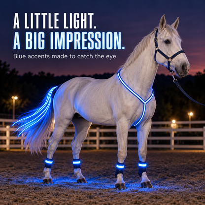 🐎 Multi-Color LED Horse Accessories ✨ Light-Up Equestrian Styling