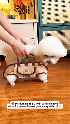🐾 Take Your Best Friend Everywhere™ | All-In-One Dog Carrier Bag