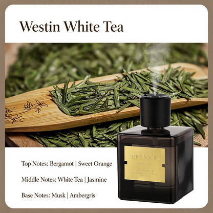 🌹 EBONY ROSE 500mL Aroma Diffuser ✨ 4-Mode Fine Mist Home Fragrance