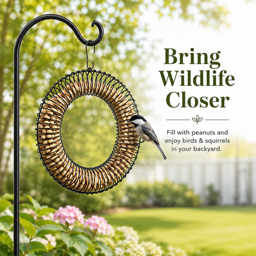 🔥 LAST DAY — 50% OFF Peanut Wreath Feeder 🐦🥜 Bring Wildlife Closer Today!