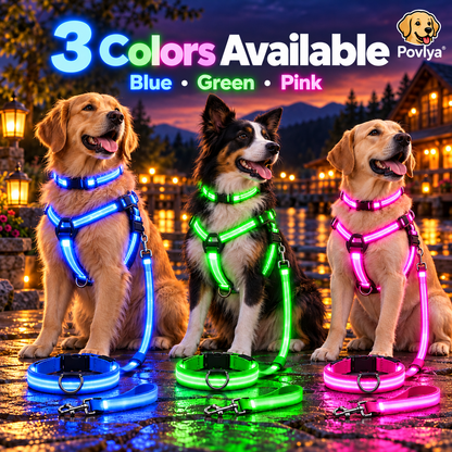 🐾 LED Light-Up Dog Harness & Leash Set 🌙 Keep Your Pup Visible After Dark!