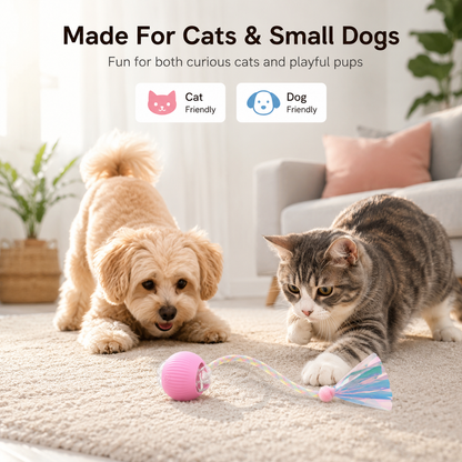 🐾 Interactive Smart Pet Ball with Chase Tail – Keeps Cats & Small Dogs Active 🐱🐶