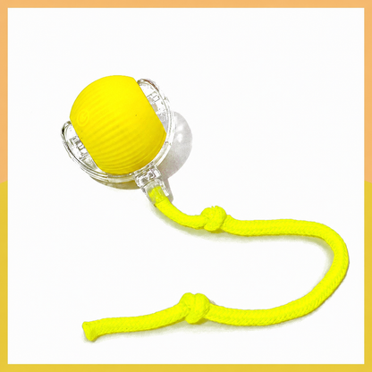 🐾 Interactive Smart Pet Ball with Chase Tail – Keeps Cats & Small Dogs Active 🐱🐶