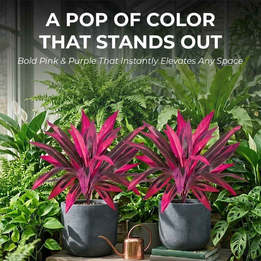 🔥Last Day 50% OFF🔥2Pcs Artificial Dragon's Blood Tree Plants