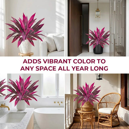 🔥Last Day 50% OFF🔥2Pcs Artificial Dragon's Blood Tree Plants