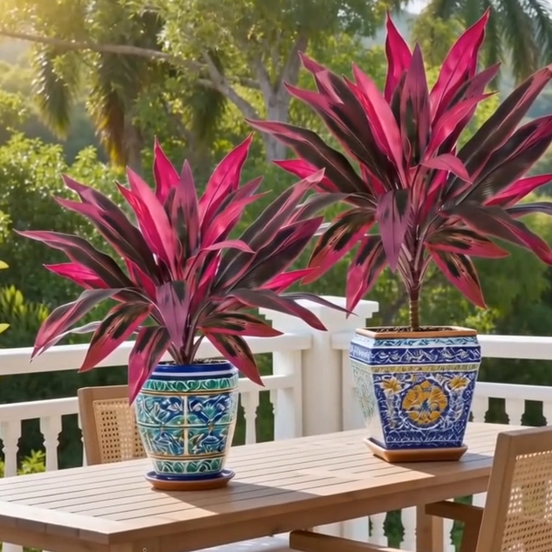 🔥Last Day 50% OFF🔥2Pcs Artificial Dragon's Blood Tree Plants