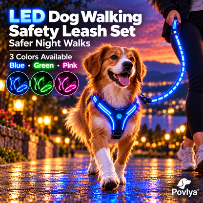 🐾 LED Light-Up Dog Harness & Leash Set 🌙 Keep Your Pup Visible After Dark!