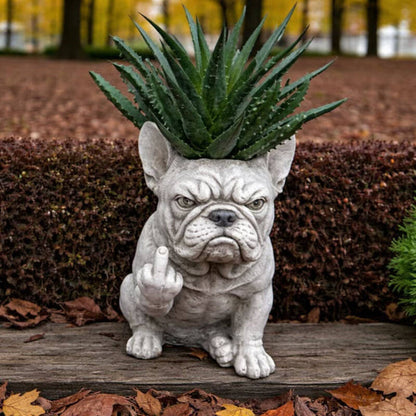 😂 Limited Time 50% OFF! Cheeky Animal Planter – The Funniest Home Decor Gift 🌱