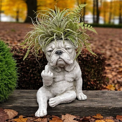 😂 Limited Time 50% OFF! Cheeky Animal Planter – The Funniest Home Decor Gift 🌱