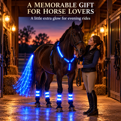 NightGlow™ LED Horse Gear Set – Light-Up Chest Harness, 4 Leg Bands & Tail Strand