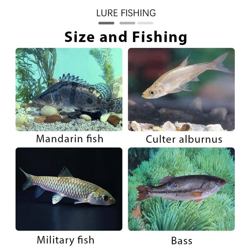 🎣 50% OFF 6PCS Lifelike Swimbait Jig Heads 🚀 Pre-Rigged Fishing Lures With Hidden Hook System