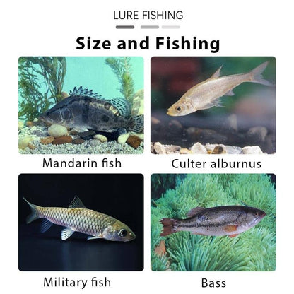 🎣 50% OFF 6PCS Lifelike Swimbait Jig Heads 🚀 Pre-Rigged Fishing Lures With Hidden Hook System
