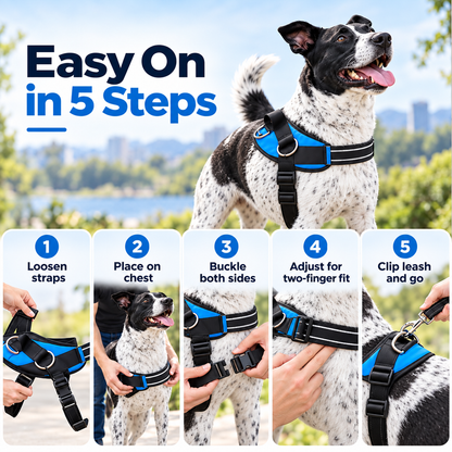 🐾 No-Pull Reflective Dog Harness | Comfortable Control for Every Walk