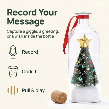 🎄❤️Recordable Message Bottle