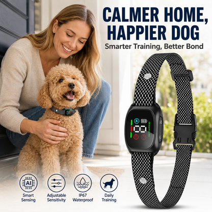 🔥 LIMITED-TIME 50% OFF! 🐶Smart Anti-Bark Collar for Dogs