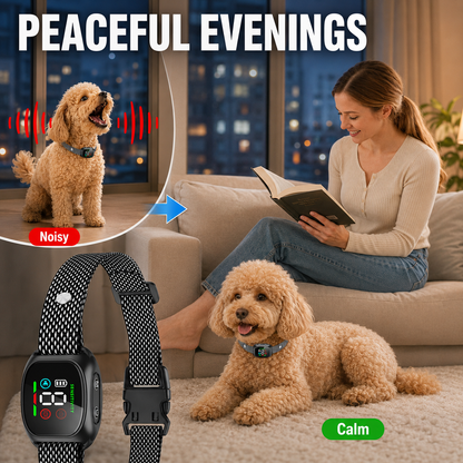 🔥 LIMITED-TIME 50% OFF! 🐶Smart Anti-Bark Collar for Dogs